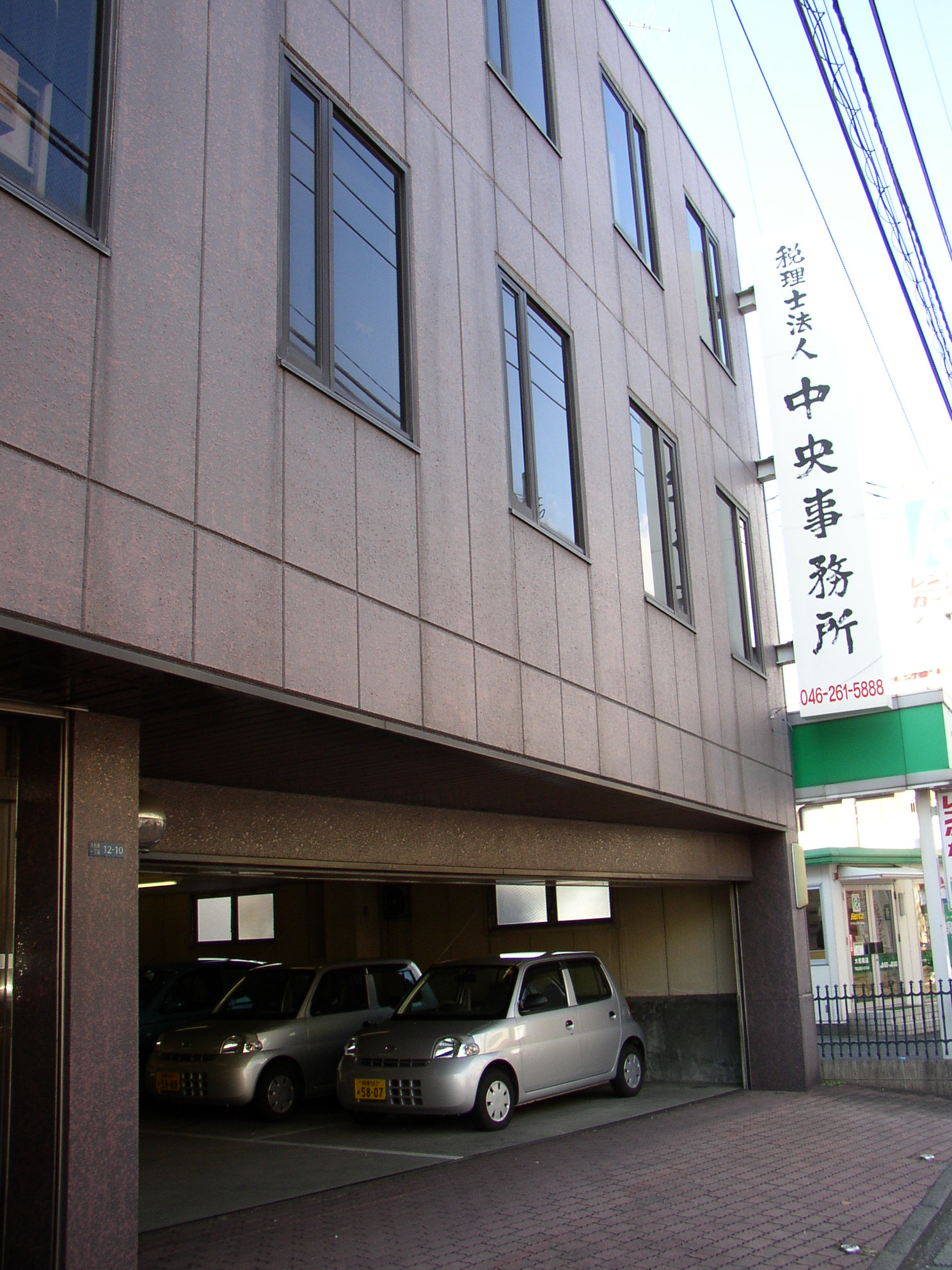 屋久杉