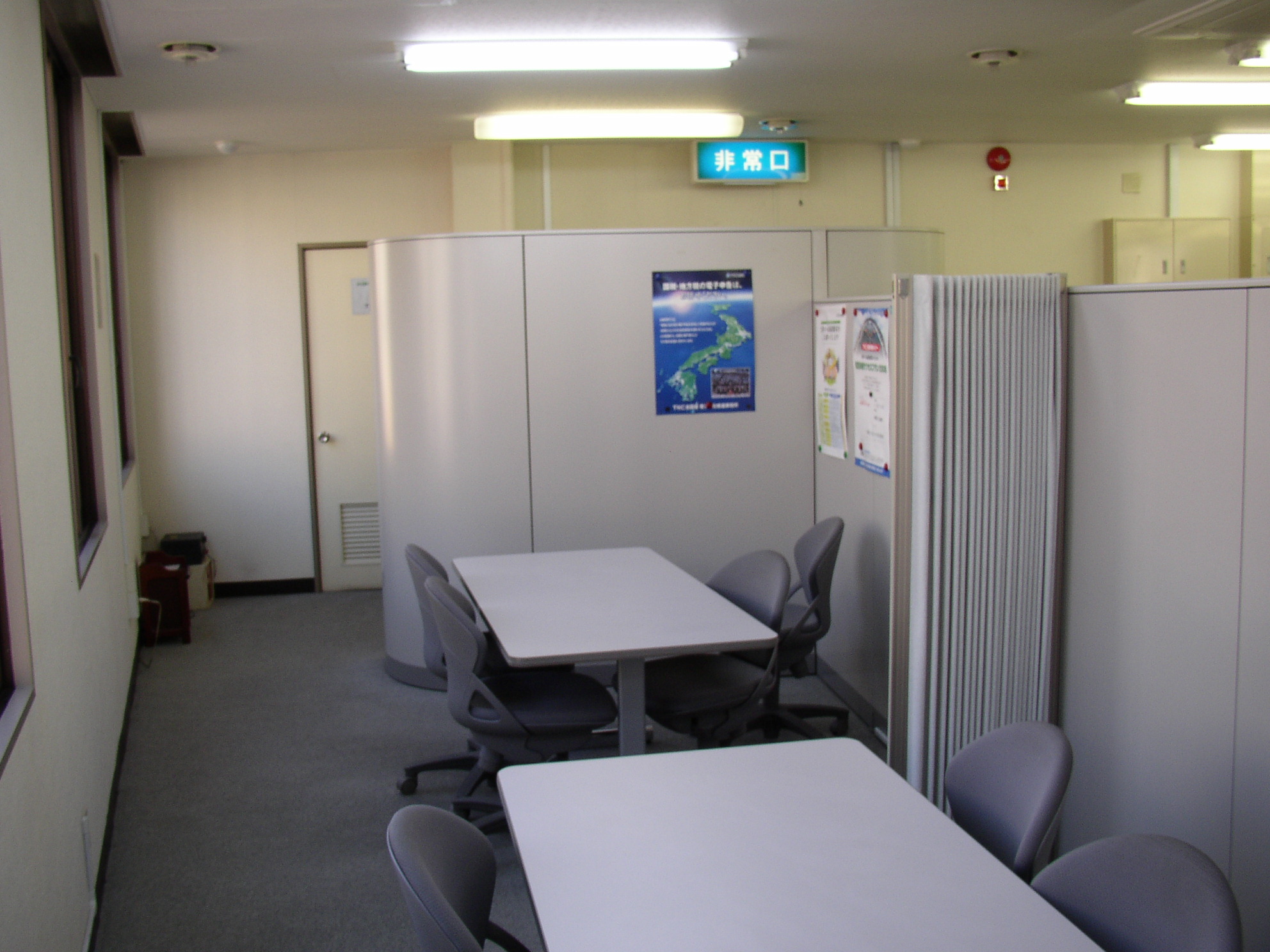 屋久杉